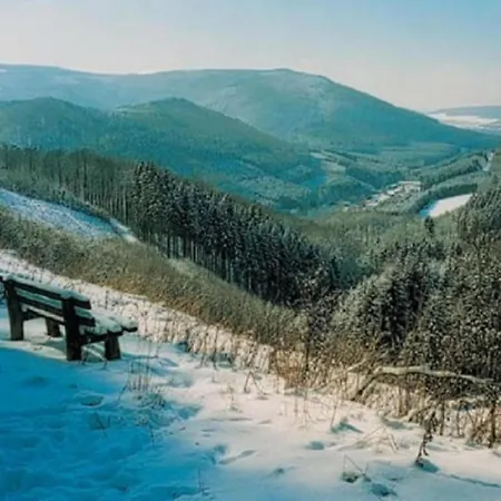 Olsberg Close To Slopes 아파트