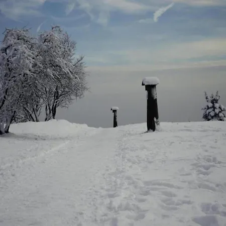 Olsberg Close To Slopes