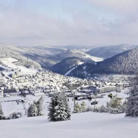 Olsberg Close To Slopes *