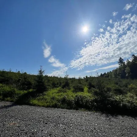 Olsberg Close To Slopes 아파트 Elpe