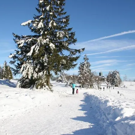 Apartment Olsberg Close To Slopes Elpe
