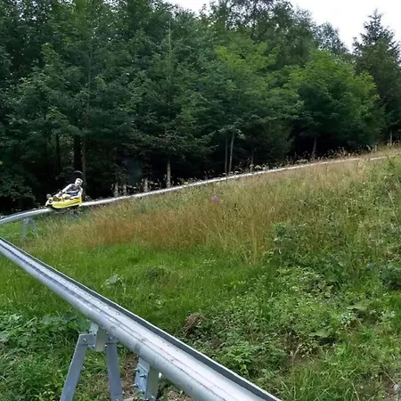 Olsberg Close To Slopes 아파트 *