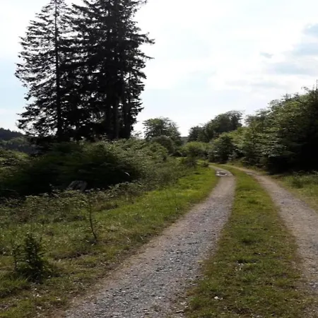 Olsberg Close To Slopes * Elpe