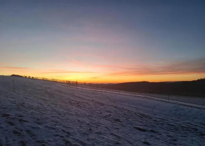 Olsberg Close To Slopes 公寓 *