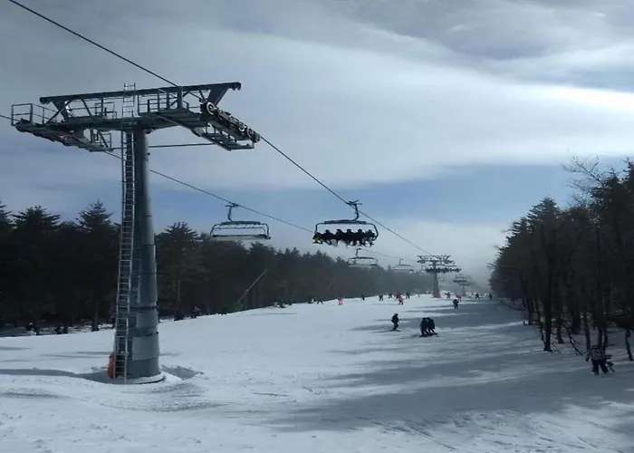 Olsberg Close To Slopes 公寓 *