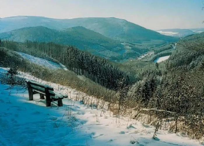 Olsberg Close To Slopes 公寓