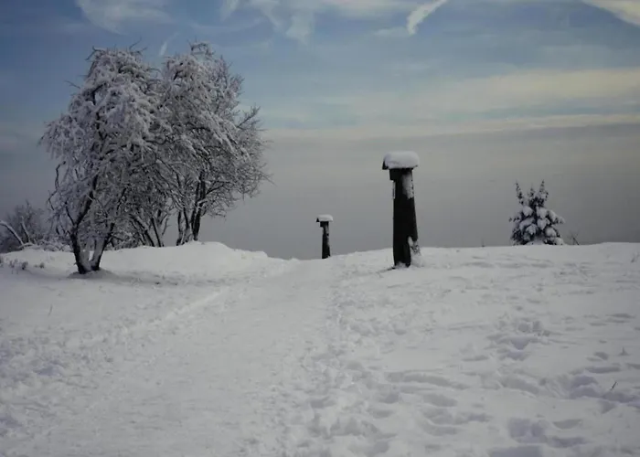 Olsberg Close To Slopes