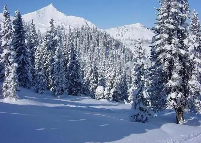 Olsberg Close To Slopes Elpe