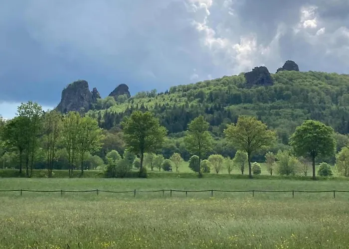 公寓 Olsberg Close To Slopes