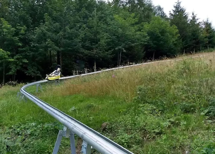 Olsberg Close To Slopes 公寓 *