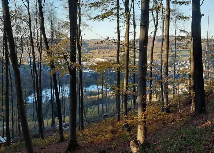 Olsberg Close To Slopes * Elpe