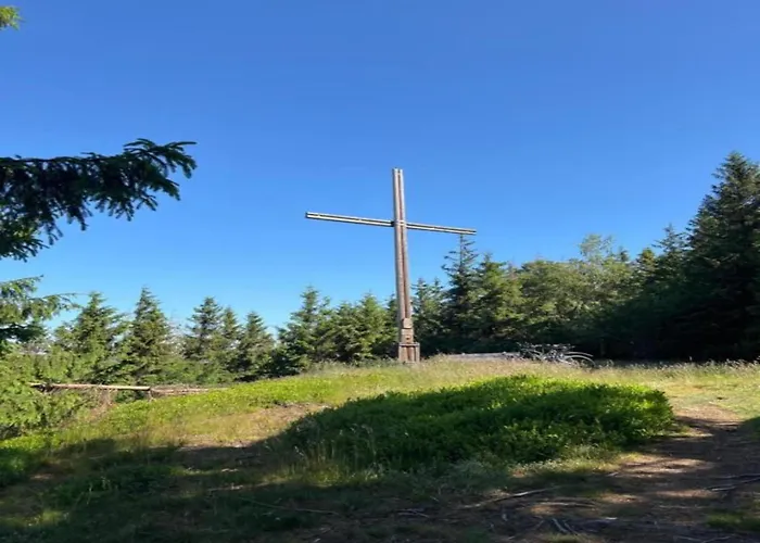 Olsberg Close To Slopes 公寓 *