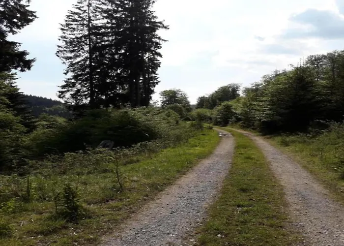 Olsberg Close To Slopes * Elpe